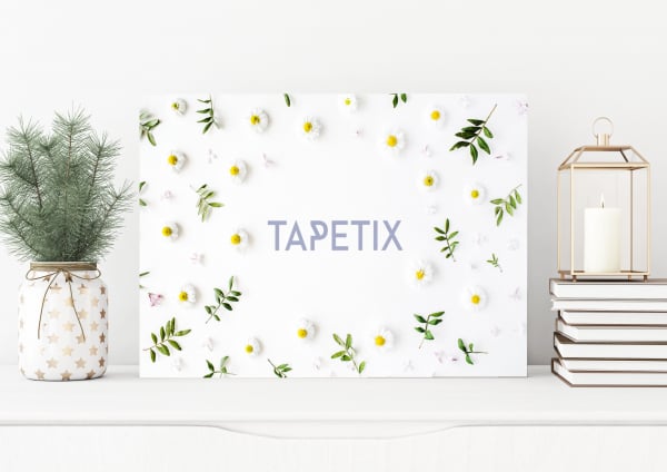 Tablou Floare de Musetel [1]