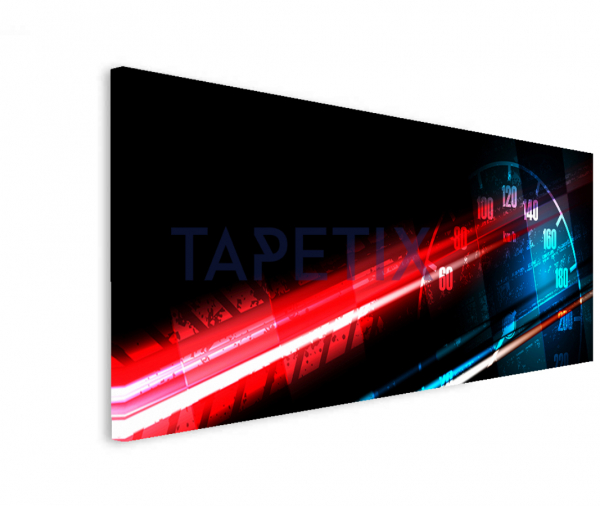 Tablou  Racing Speed [1]