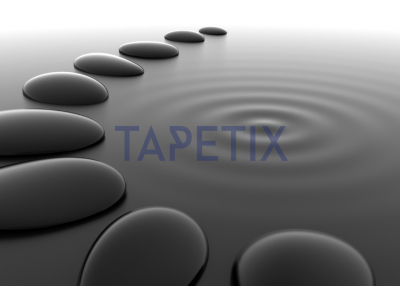 Tablou Pebbles in Water [3]