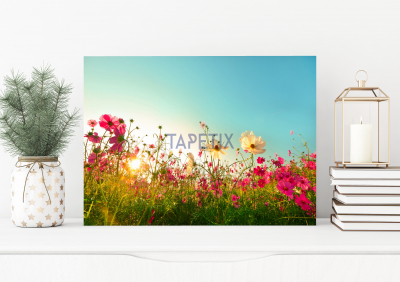 Tablouri Floral - Tablou Flowers  in Garden