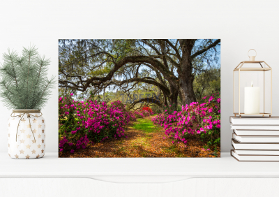 Tablouri Floral - Tablou Spring Flowers
