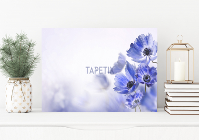 Tablouri Floral - Tablou Blue Flower