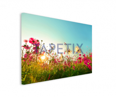 Tablou Flowers  in Garden [1]