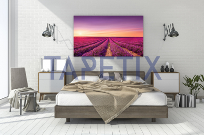 Tablou Lavanda [2]