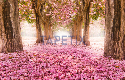 Tablou Pink Flowers [3]