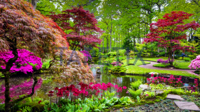 Tablou Japanese Garden [3]