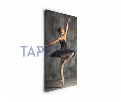 Tablou Young Ballerina [1]