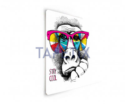 Poster Monkey in  Rainbow [1]