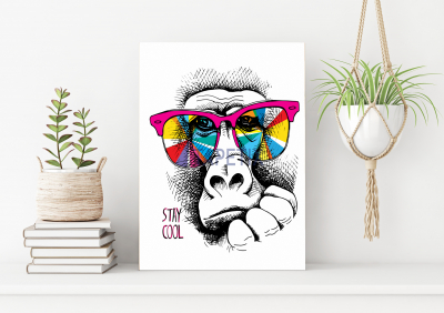 Postere - Poster Monkey in  Rainbow