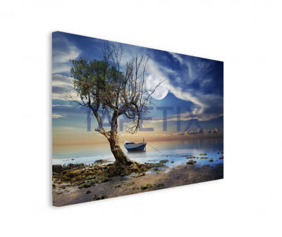 Tablou Old Tree [1]
