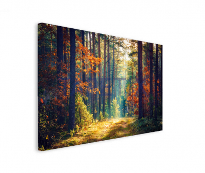 Tablou Colorful Forest [1]
