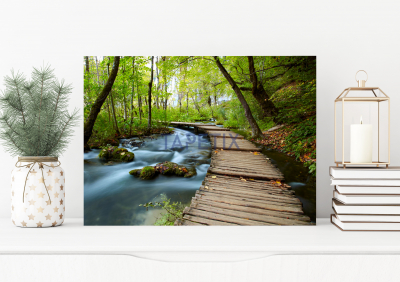 Tablouri Peisaje - Tablou Boardwalk in the Park