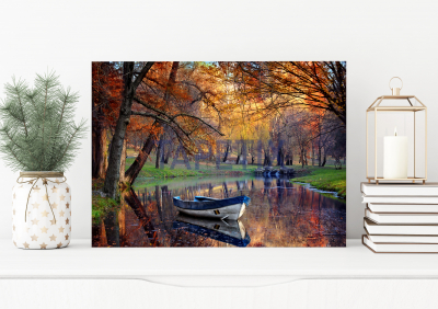 Tablouri Peisaje - Tablou Boat on the lake