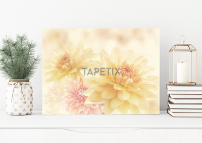Tablouri Floral - Tablou Crizanteme