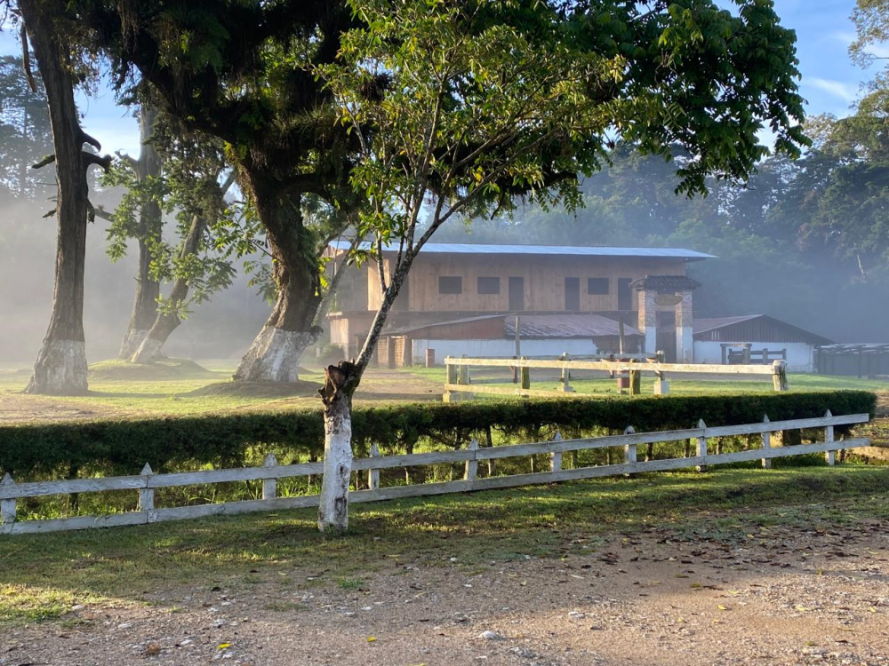 Guatemala SL28 Gabriel Ocana 500g - Cafea de specialitate DROPSHOT [4]