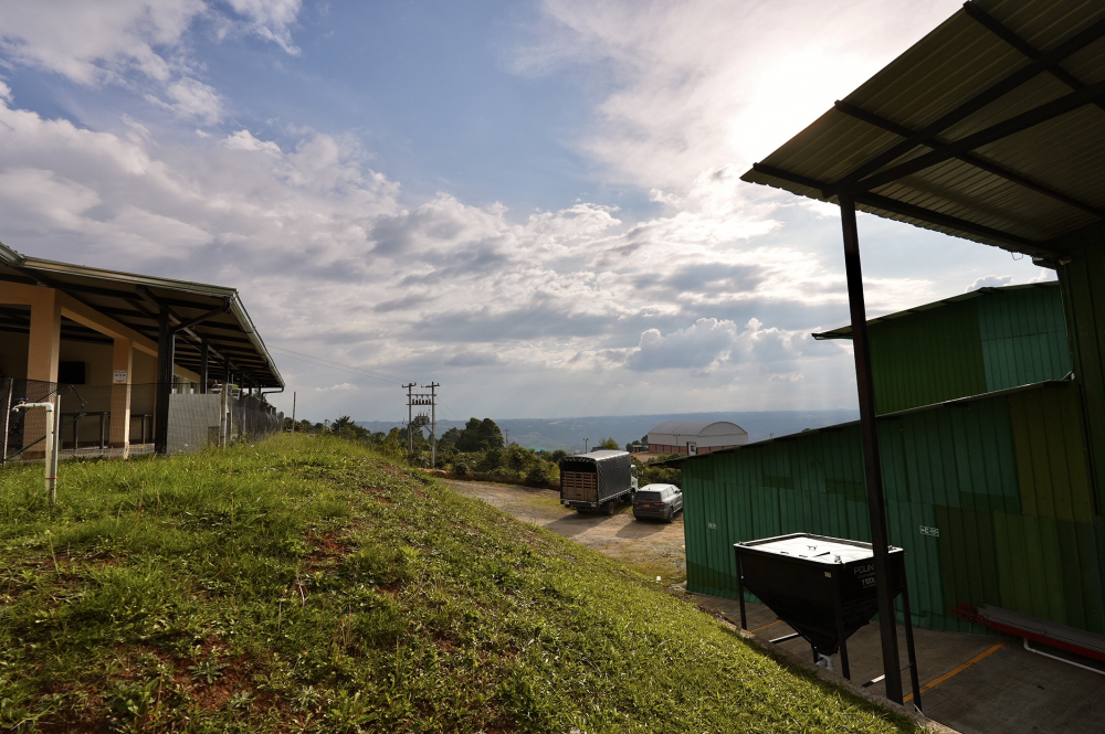 Columbia Lychee El Paraiso 500g - Cafea de specialitate DROPSHOT [8]