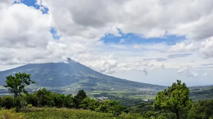 Guatemala Calma Antigua 1kg - Cafea de specialitate DROPSHOT [4]