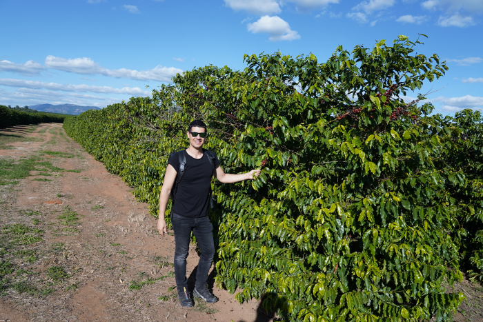 Brazilia Costa Albertina 1kg - Cafea de specialitate DROPSHOT [4]