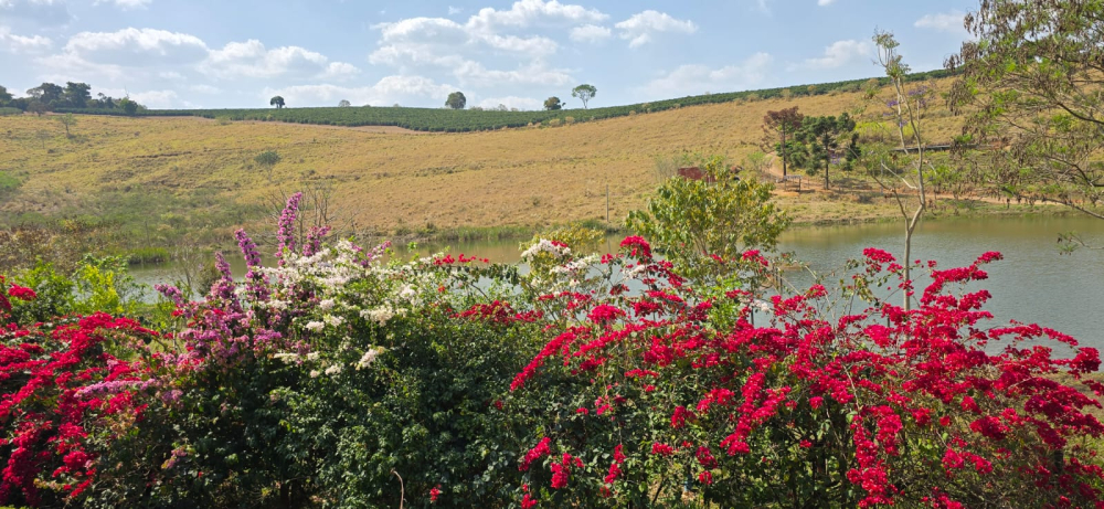 Brazilia Passiflora Guariroba 250g - Cafea de specialitate DROPSHOT [5]