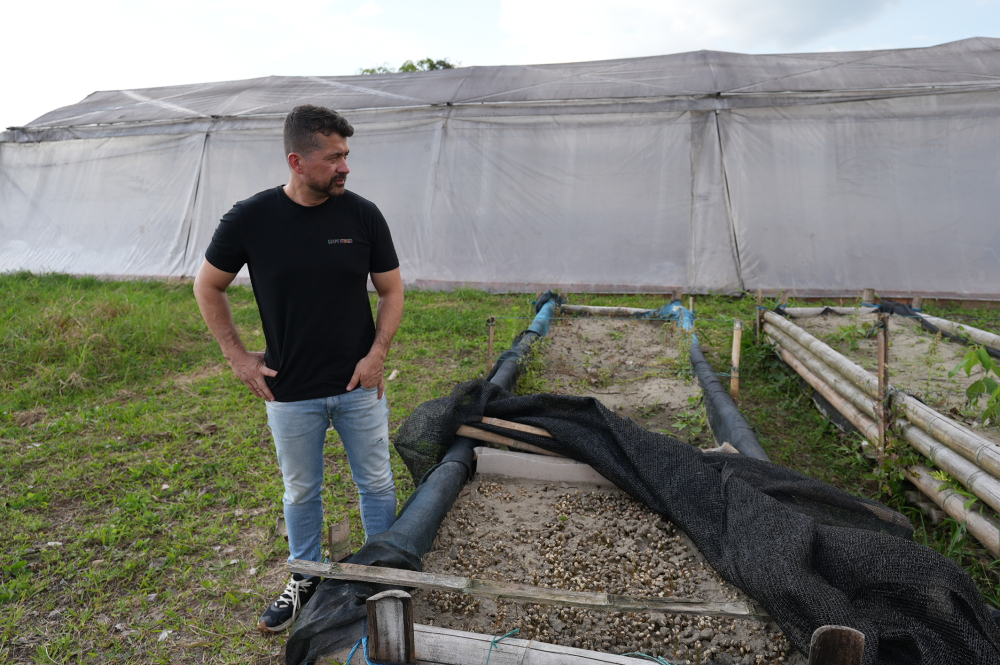 Columbia Sudan Rume Edwin Norena 500g - Cafea de specialitate DROPSHOT [7]