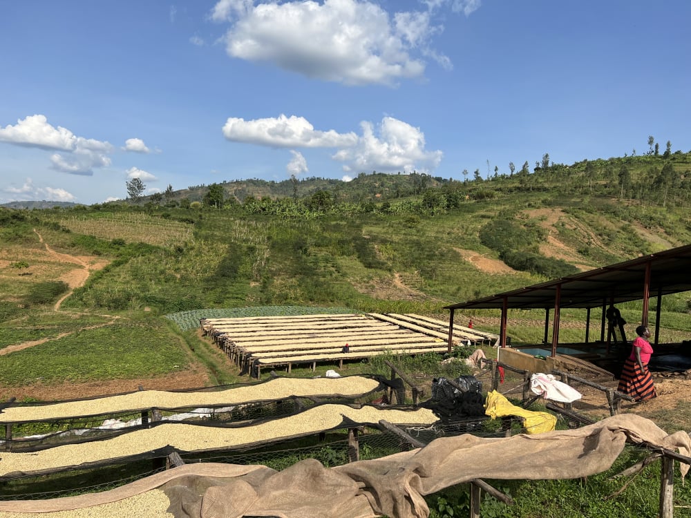 Burundi Kayanza Citradora 250g - Cafea de specialitate DROPSHOT [4]