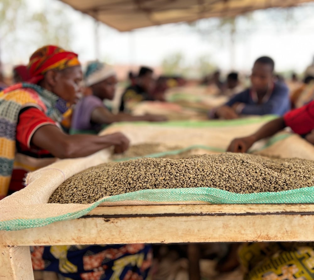 Burundi Kayanza Citradora 250g - Cafea de specialitate DROPSHOT [7]