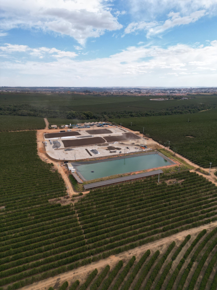 Brazilia Arara Da Canastra 500g - Cafea de specialitate DROPSHOT [6]