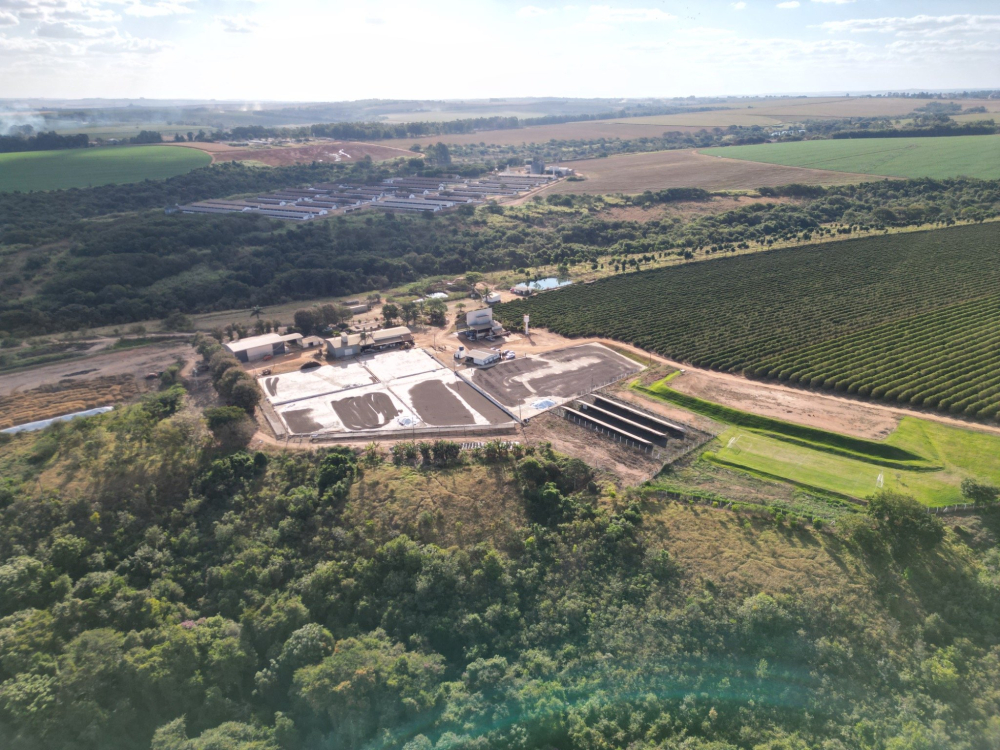 Brazilia Arara Da Canastra 500g - Cafea de specialitate DROPSHOT [5]