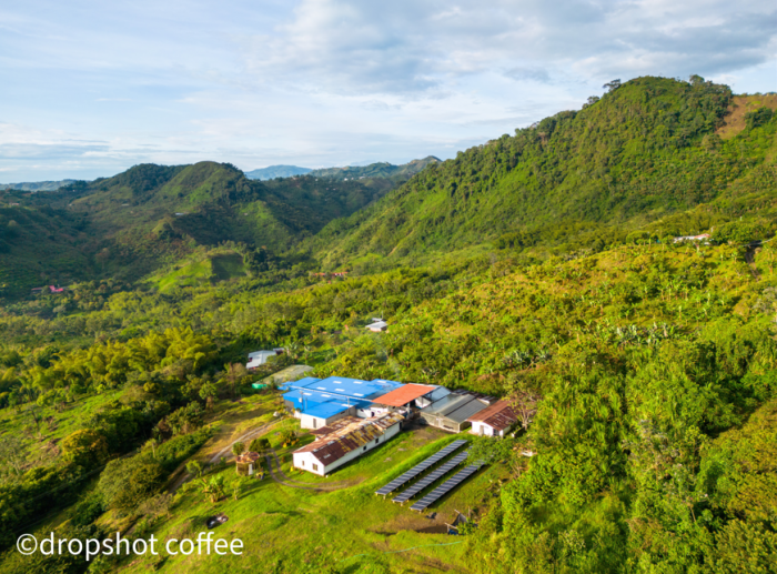 Columbia El Vergel Estate 500g - Cafea de specialitate DROPSHOT [6]
