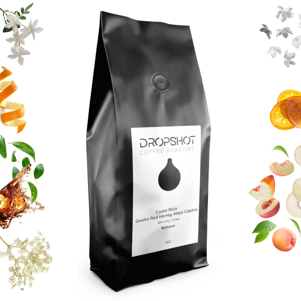Costa Rica Geisha Red Honey Alejo Castro 1kg - Cafea de specialitate DROPSHOT [2]