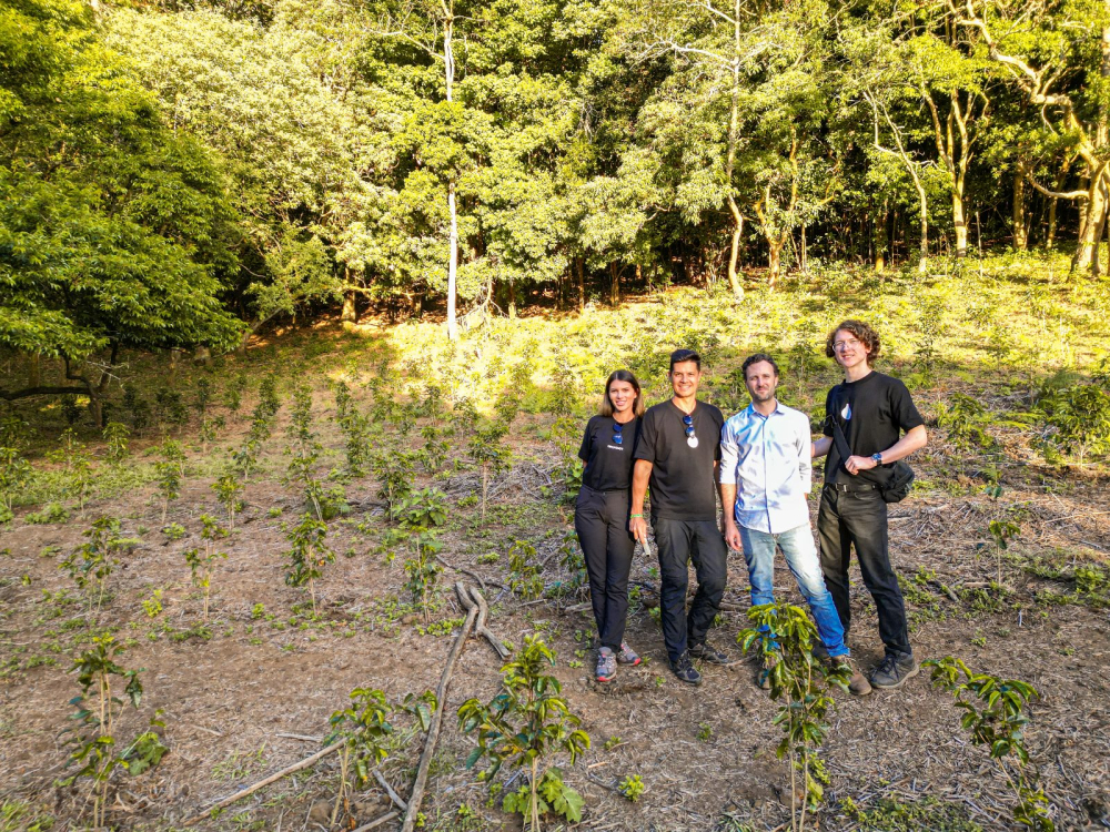 Costa Rica Geisha Red Honey Alejo Castro 250g - Cafea de specialitate DROPSHOT [3]