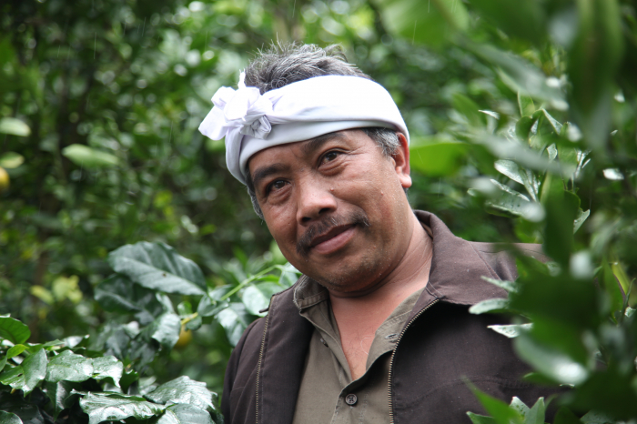 Indonezia West Java Radiophare 250g - Cafea de specialitate DROPSHOT [6]