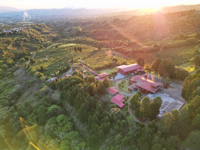 Christmas Blend 250g - Cafea de specialitate DROPSHOT [4]