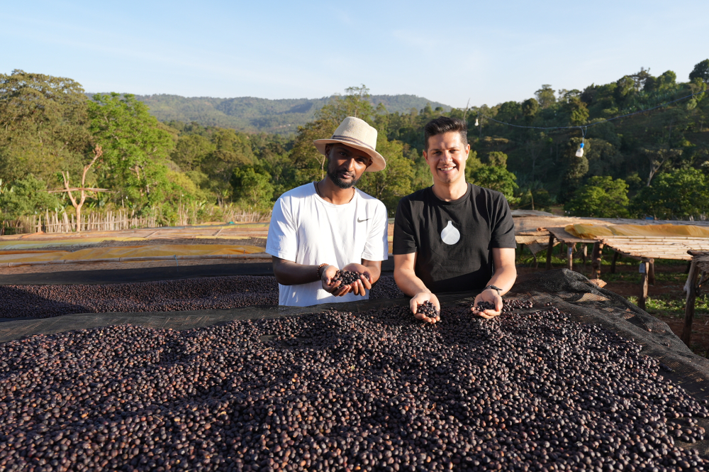 Etiopia Keramo Daye Bensa 250g - Cafea de specialitate DROPSHOT [3]