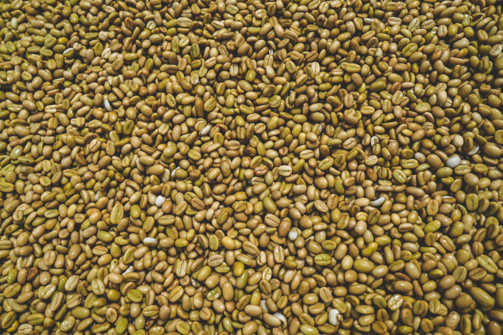 Etiopia Rumudamo Washed 500g - Cafea de specialitate DROPSHOT [4]