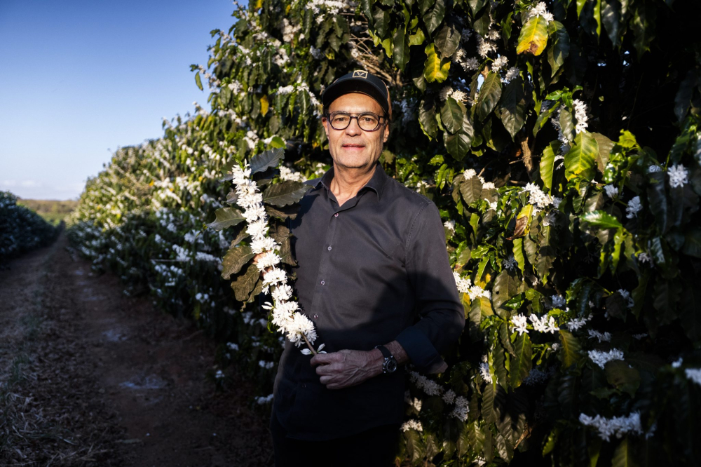 Brazilia Flor De Jasmin 1kg - Cafea de specialitate DROPSHOT [3]