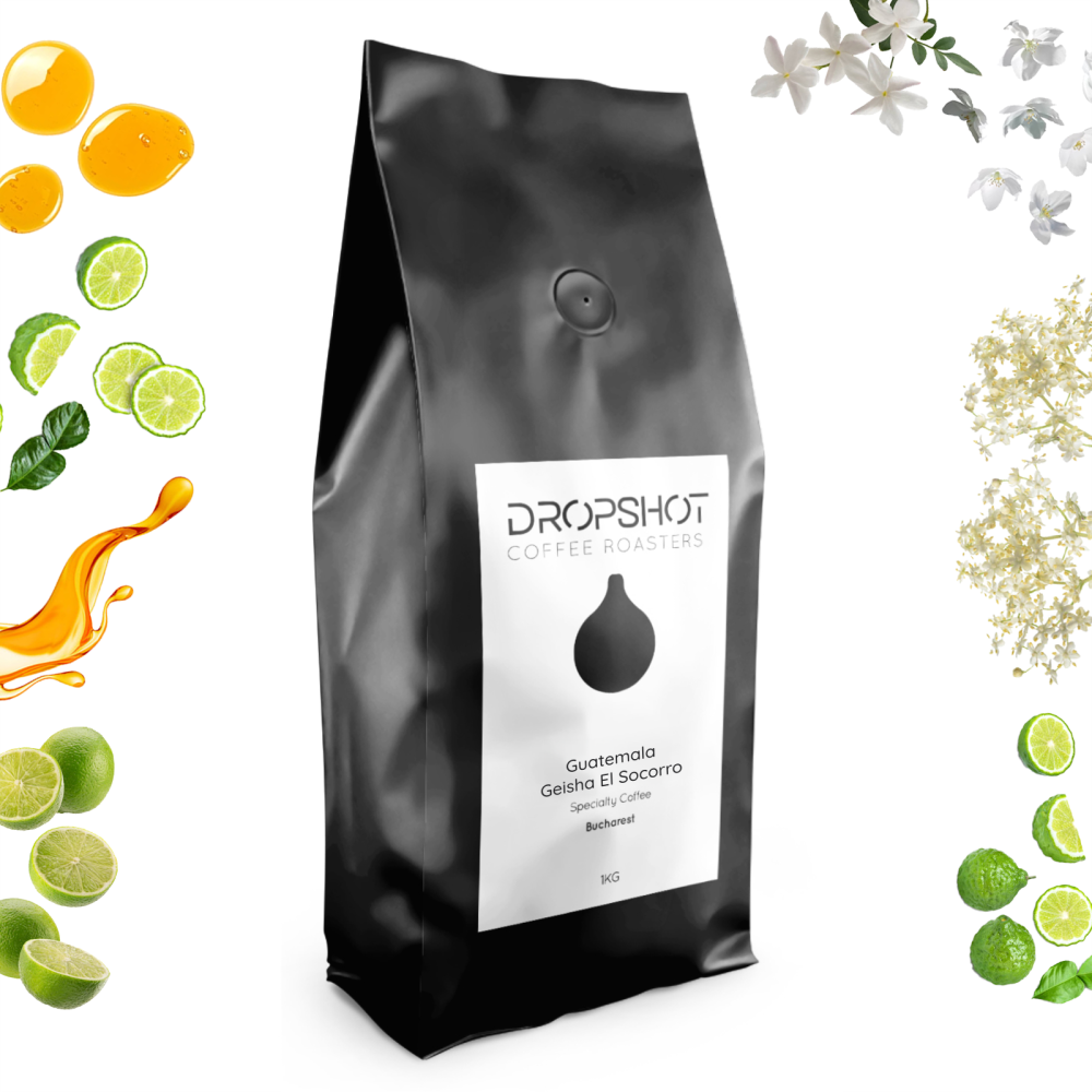 Guatemala Geisha El Socorro 1kg - Cafea de specialitate DROPSHOT [2]