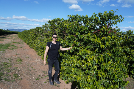 Brazilia Costa Albertina 1kg - Cafea de specialitate DROPSHOT [3]