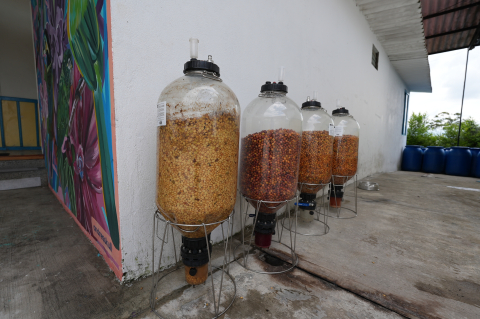 Columbia Sudan Rume Edwin Norena 200g - Cafea de specialitate DROPSHOT [6]