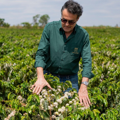 Brazilia Placer Rrojo 500g - Cafea de specialitate DROPSHOT [4]