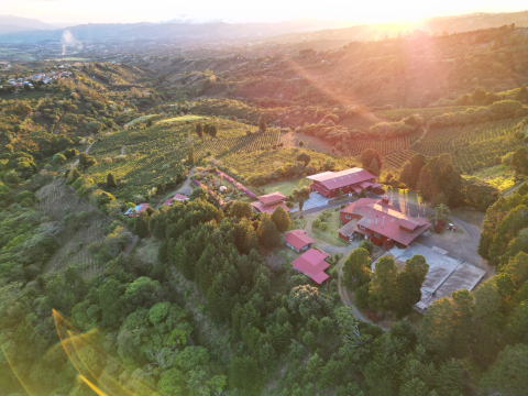 Christmas Blend 500g - Cafea de specialitate DROPSHOT [3]