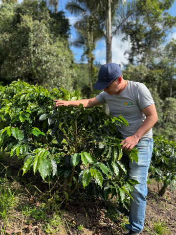 Columbia Cherry Drops 1kg - Cafea de specialitate DROPSHOT [1]