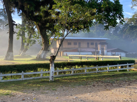 Guatemala Geisha San Jose Ocana 250G - Cafea de specialitate DROPSHOT [3]