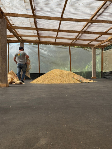 Columbia Yellow Clouds 250g - Cafea de specialitate DROPSHOT [10]