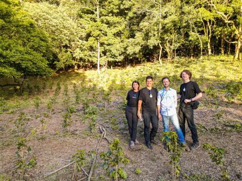 Costa Rica Geisha Red Honey Alejo Castro 250g - Cafea de specialitate DROPSHOT [2]