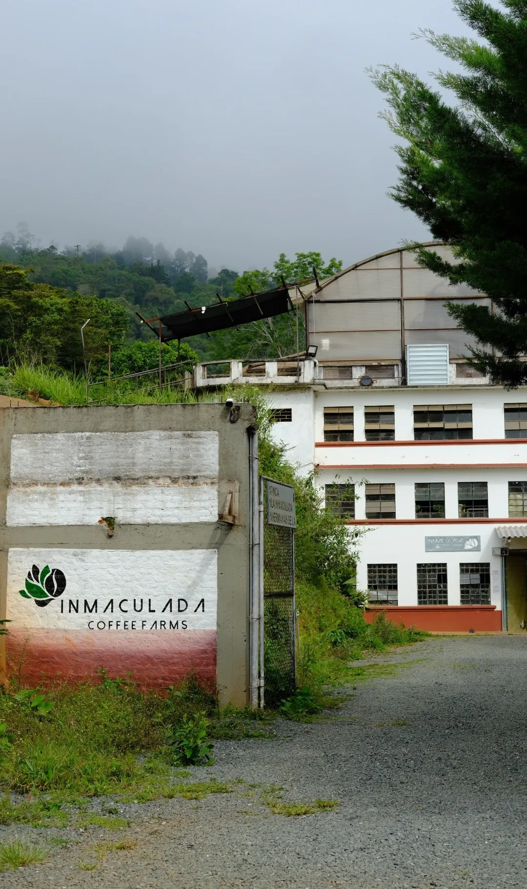 Columbia Pink Bourbon Inmaculada 1kg- Cafea de specialitate DROPSHOT [4]