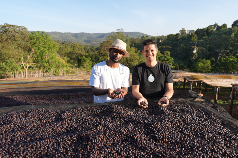 Etiopia Keramo Daye Bensa 500g - Cafea de specialitate DROPSHOT [3]