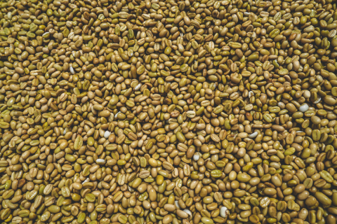 Etiopia Rumudamo Washed 500g - Cafea de specialitate DROPSHOT [3]