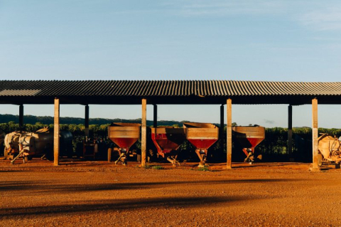 Brazilia Flor De Jasmin 1kg - Cafea de specialitate DROPSHOT [4]