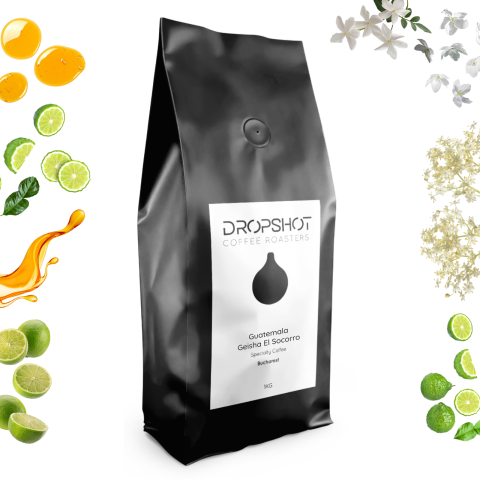 Guatemala Geisha El Socorro 1kg - Cafea de specialitate DROPSHOT [1]